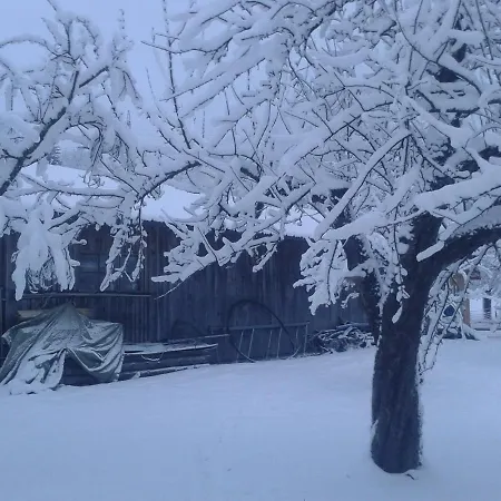 Untermuehlbauer Fam. Schreder Saalfelden am Steinernen Meer