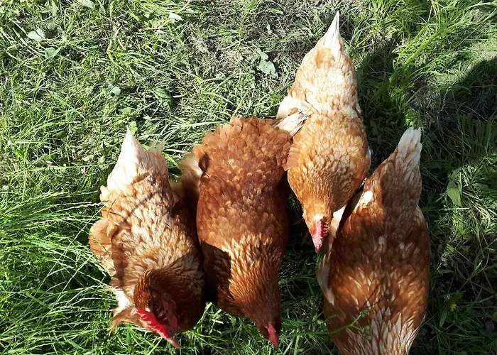 Untermühlbauer Fam. Schreder Agroturismo